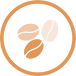 Desarrollo del grano