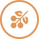 Proceso de grano